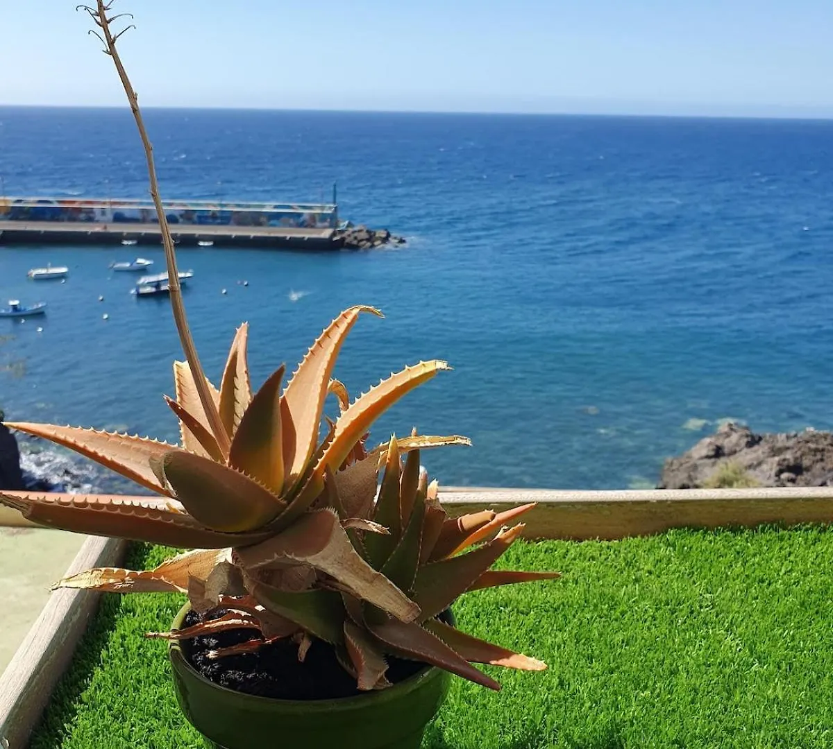 Vista Marina Tenerife Sur Los Abrigos Spain