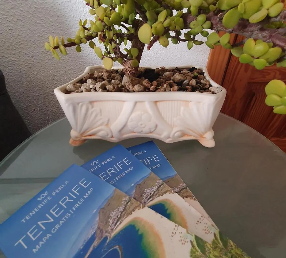Apartment Vista Marina Tenerife Sur Los Abrigos Spain
